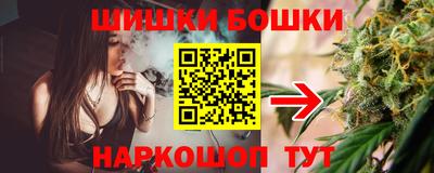 крисы Нальчик