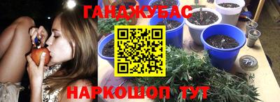 крисы Нальчик
