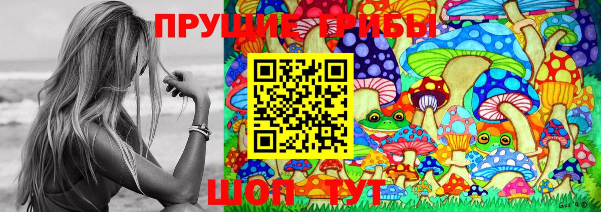 Михайловск  Псилоцибиновые грибы Cubensis  Вход с VPN 